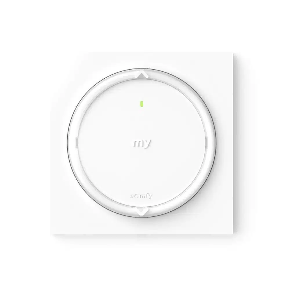 Amy-1